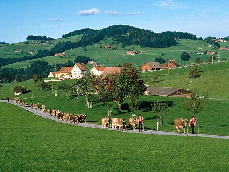 Appenzell - Suíça